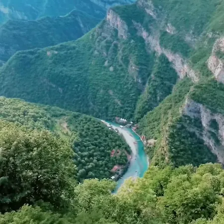 Guri I Lekes 3* Moll' e Shoshit